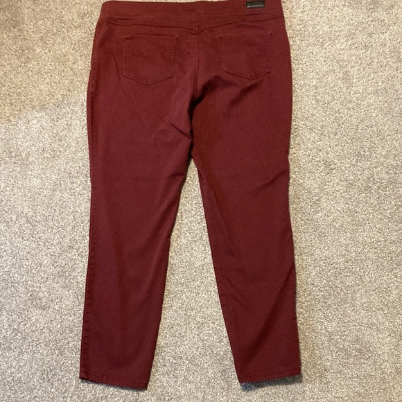 Natural Reflections Platinum Stretch Jeggings XL - Picture 12 of 15